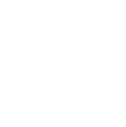 Browse AI logo