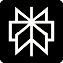 Perplexity AI logo